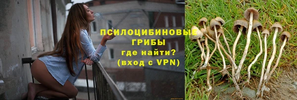 гидра Алексеевка