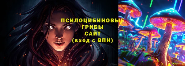 ECSTASY Абаза